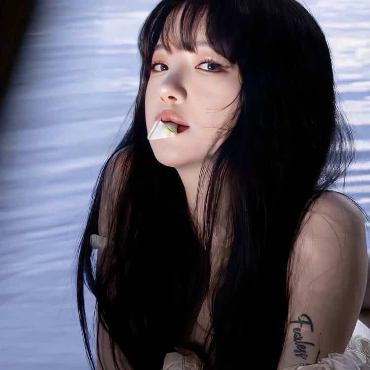 宠物萌宠直播间